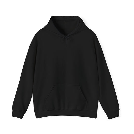Hoodie — “All I Want Is Illegal, Expensive or Blonde” Graphic Pullover