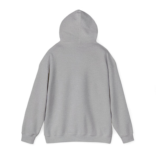 Funny Quote Hoodie - "I'm Not Flirting I'm Just Hot and Friendly" Casual Pullover