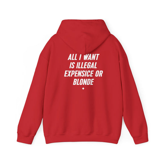 Hoodie — “All I Want Is Illegal, Expensive or Blonde” Graphic Pullover