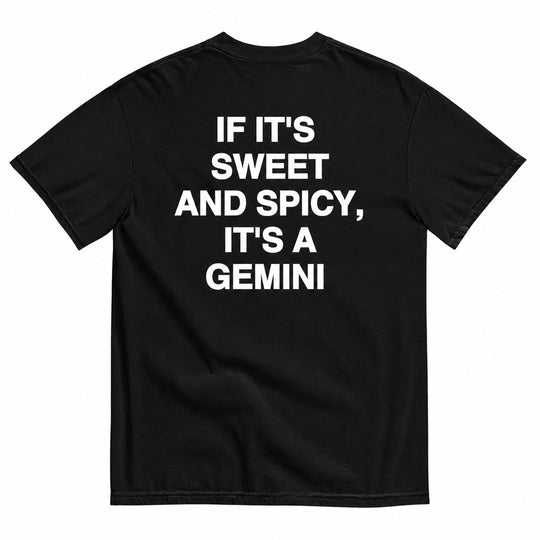 IT'S A GEMINI T-SHIRT