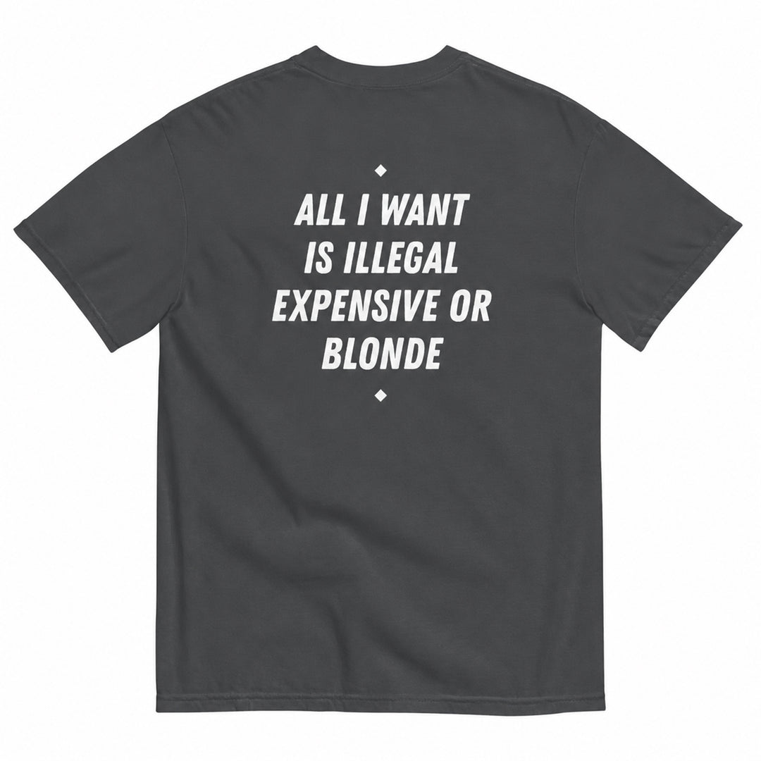 ALL I WANT IS ILLEGAL, EXPENSIVE OR BLONDE T-SHIRT