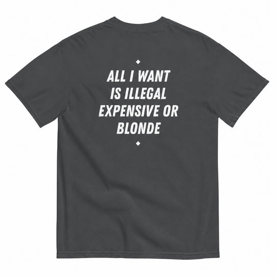 ALL I WANT IS ILLEGAL, EXPENSIVE OR BLONDE T-SHIRT