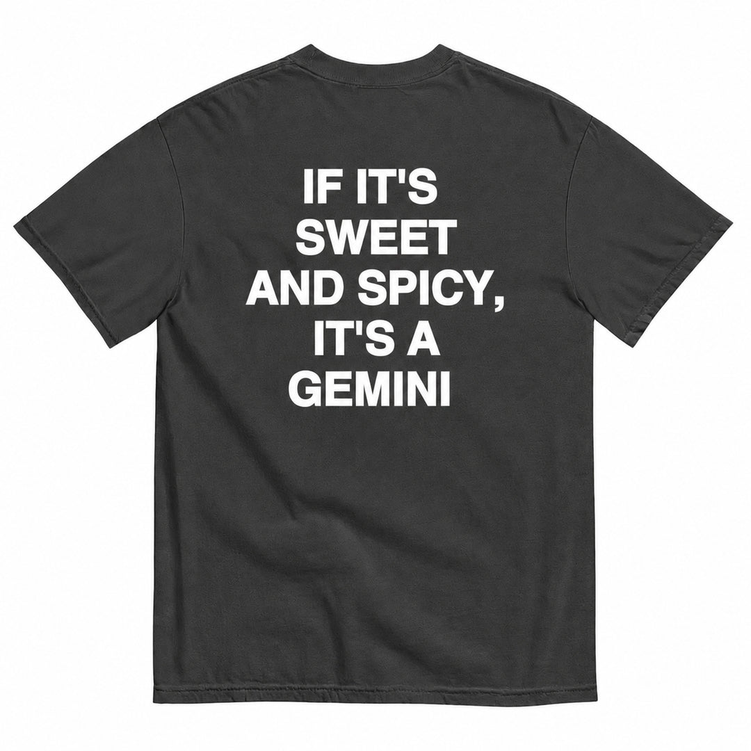IT'S A GEMINI T-SHIRT