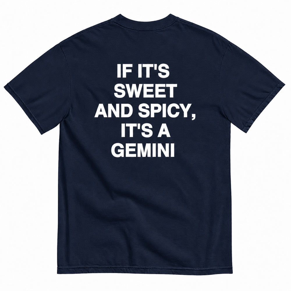 IT'S A GEMINI T-SHIRT