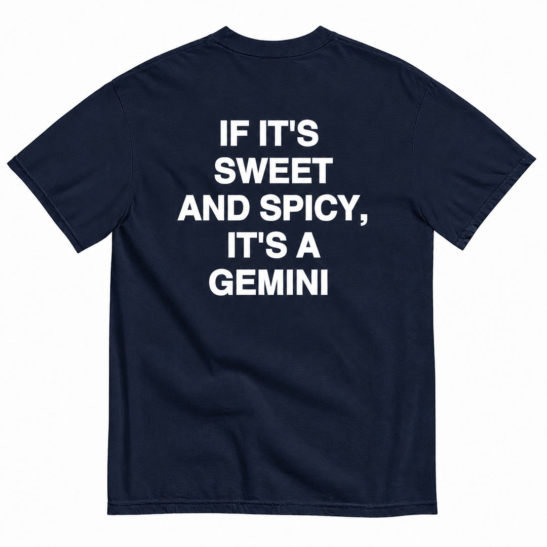 IT'S A GEMINI T-SHIRT