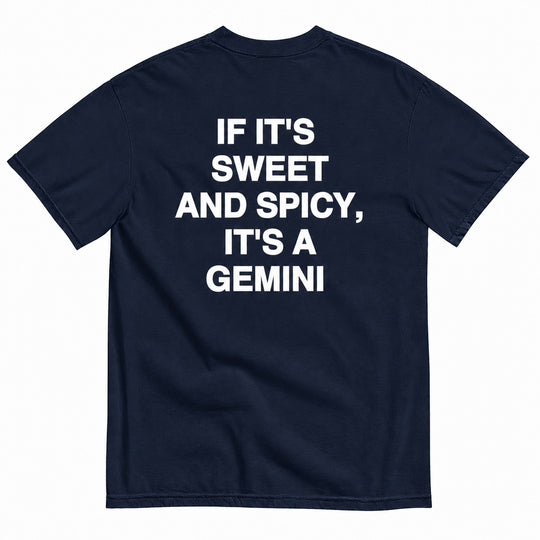 IT'S A GEMINI T-SHIRT