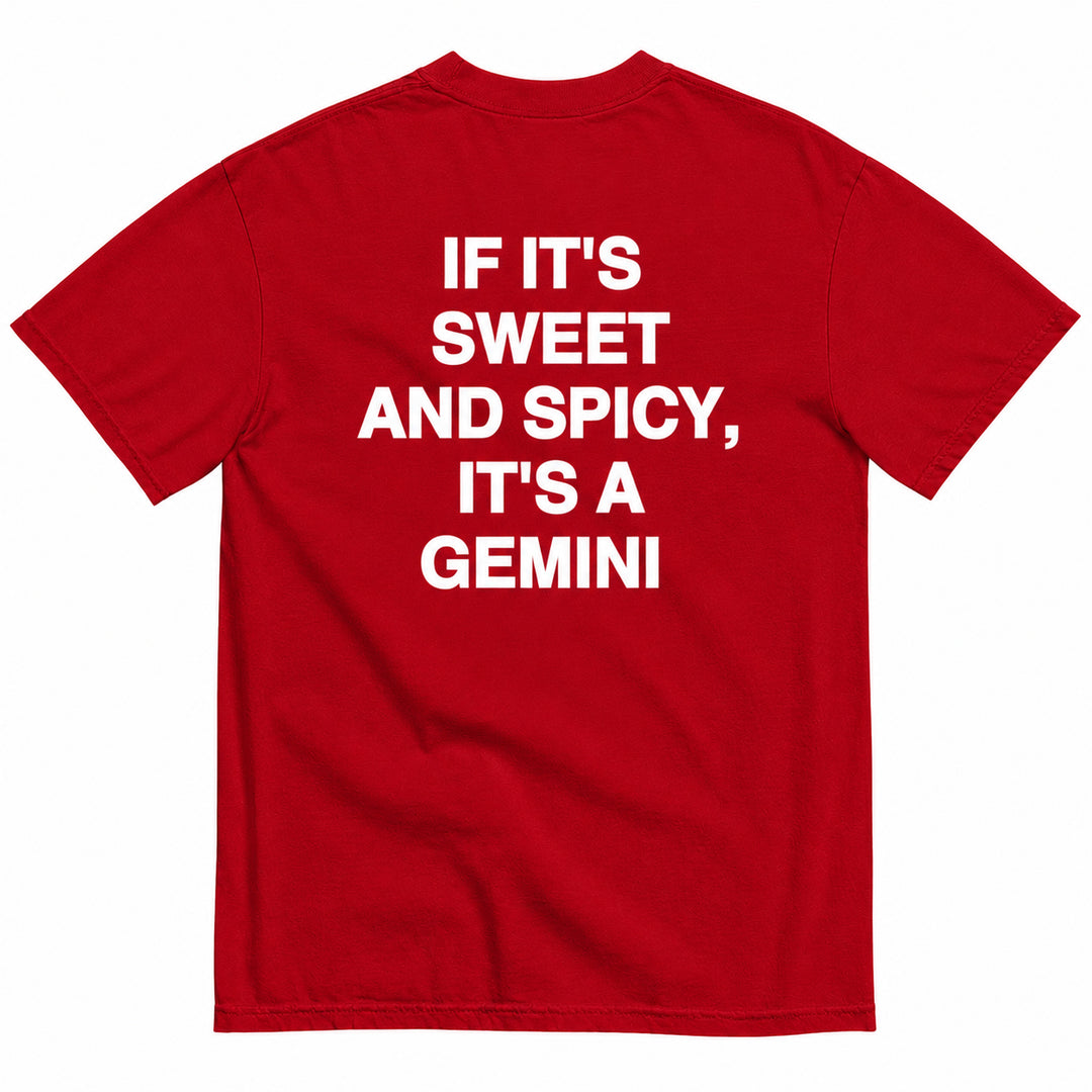 IT'S A GEMINI T-SHIRT