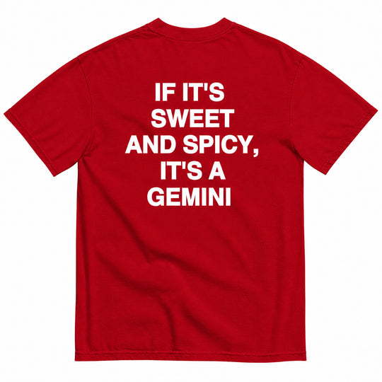 IT'S A GEMINI T-SHIRT
