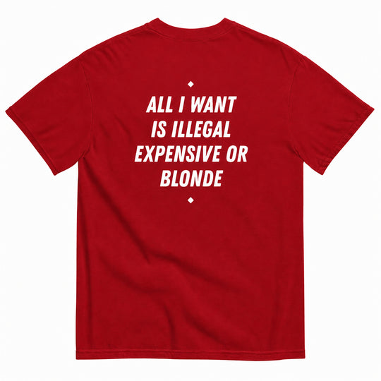 ALL I WANT IS ILLEGAL, EXPENSIVE OR BLONDE T-SHIRT