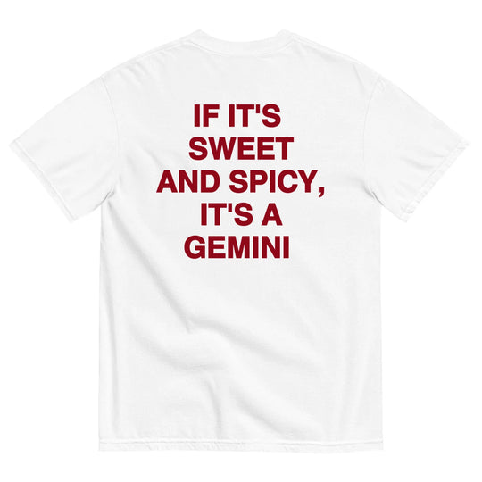 IT'S A GEMINI T-SHIRT