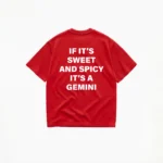 If It's Sweet And Spicy It's A Gemini T-Shirt - Image 5