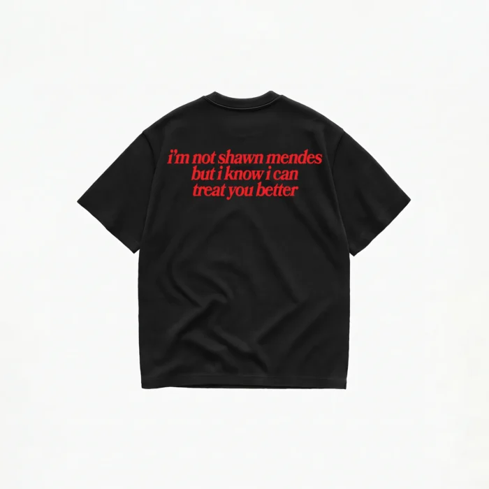 NOT SHAWN MENDES T-SHIRT - Image 2