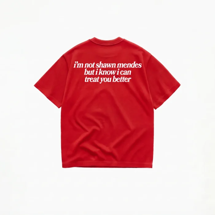 NOT SHAWN MENDES T-SHIRT - Image 4